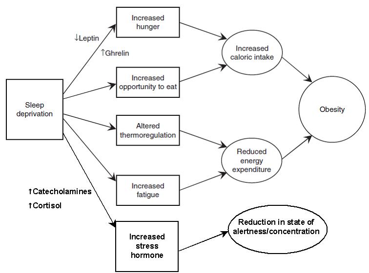 sleep-obesity relation
